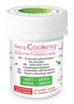 Colorant alimentaire en poudre 15 g - vert