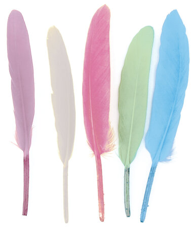 Plumes indiennes pastel 7 à 15 cm 120 pièces