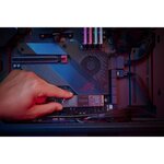 WD Black™- Disque SSD Interne - SN750 SE - 500Go - M.2 NVMe