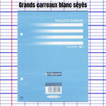 Feuillets mobiles blanc perforées 17x22 grands carreaux seyes 80g clairefontaine