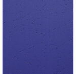 Paquet de 100 couvertures bleues grain cuir pour reliure a4 exacompta