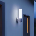 Steinel Lampe d'extérieur à capteur L 260 LED Argenté