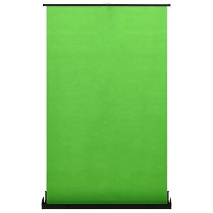 vidaXL Toile de fond de photographie Vert 95" 4:3