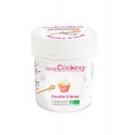 Poudre à lever - 50 g