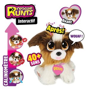 RESCUE RUNTS - Le Saint bernard interactif