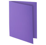 Paquet De 100 Chemises Rock''s 210 - 24x32cm - Exacompta