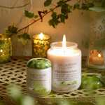 Petite bougie freesia et jasmin blanc à la cire de soja