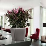 LECHUZA Jardinière Quadro 35 LS ALL-IN-ONE Charbon 16163