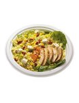 (lot  de 1400 assiettes) assiette en carton moulé diamètre 17cm