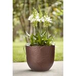 Fuente Lily Rond 38 brun rouillé
