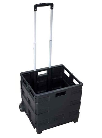 Chariot de transport avec caisse pliante Plastique capacité 35 Kg PAVO