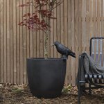 Capi Jardinière Urban Smooth 54x52 cm Noir KBL935