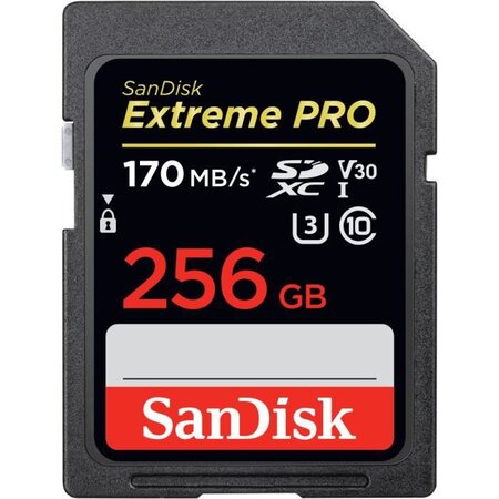 Carte mémoire flash - SANDISK -  - 256GB -  -  (SDSDXXY-256G-GN4IN)