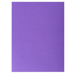 Paquet De 25 Chemises Double Poche Rock''s 210 - Double A4 Ou A3 - 24x32cm - X 10 - Exacompta