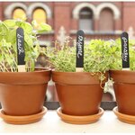 12 marque-plantes en ardoise