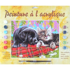 Peinture par Numéros initié 30 x 40cm - Comme chien et chat