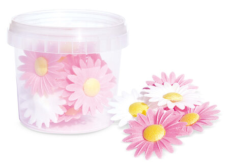Décos Azyme 18 Marguerites