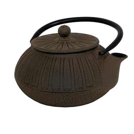 Théière japonaise marron en fonte
