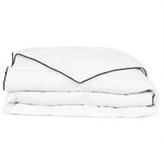 vidaXL Couette en duvet d'hiver 240 x 220 cm