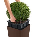 Lechuza jardinière cubico color 30 all-in-one muscade 13133