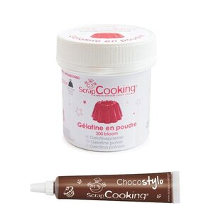 Gélatine en poudre + Stylo chocolat