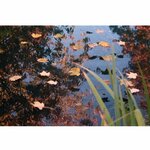 Ubbink filet de couverture de bassin pe 10x6 m