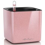 Lechuza jardinière de table cube glossy 14 all-in-one rose brillant