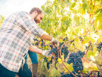 Dakotabox - coffret cadeau - vignobles et œnologie