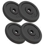 vidaXL Plaque de poids 4 Pièces 4x5 kg Fonte