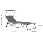 vidaXL Chaise longue pliable avec auvent Aluminium et textilène Gris