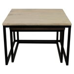 HSM Collection Ensemble de tables basses 2 Pièces Carré
