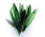 Plumes d'indien pour activités enfant Camaieu vert 15cm