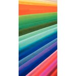 Paquet 10F Crépon M75 2.5x0.5m vert pomme CLAIREFONTAINE