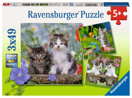 Ravensburger puzzles 3x49 pièces - chatons tigrés