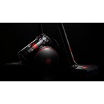 Dyson cinetic big ball animal pro 2 - aspirateur traîneau sans sac - collecteur 1 7l - brosses turbinehead - cordon 6.5 m