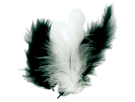 Plumes Assortiment noir blanc 10 cm 50 pièces