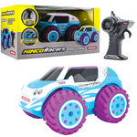 Ninco voiture amphibie télécommandée aquasnow 1:16