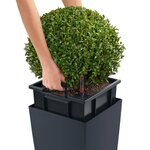 LECHUZA Jardinière Cubico Color 40 ALL-IN-ONE Ardoise 13158