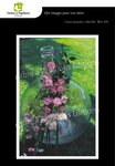 Lot de 6 cartes postales - voeux 2 - photos frédéric engel