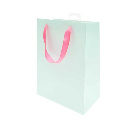 Sac cadeau menthe 26 x 18 cm