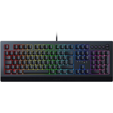 Razer cynosa v2