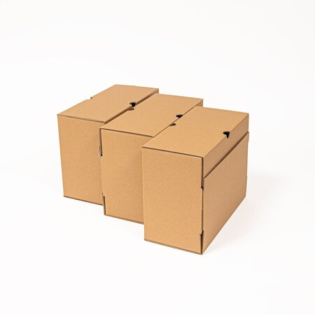 Lot de 3 boîtes archives dos 15cm
