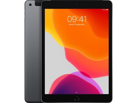 Apple - 10,2" iPad (2020) WIFI + CELLULAR 128Go - Gris Sidéral - Parfait état