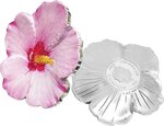 SHRUB ALTHEA Shape World Enchanting Flower 1 onces argent monnaie 2 Dollars Niue 2020