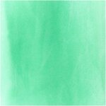 Rouleau de tulle 50 cm x 5 m - vert