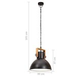 vidaXL Lampe suspendue industrielle 25 W Noir Rond 30 cm E27