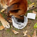 Gamelle de voyage pour chien - imprimé journaux