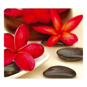 Tapis de souris spa