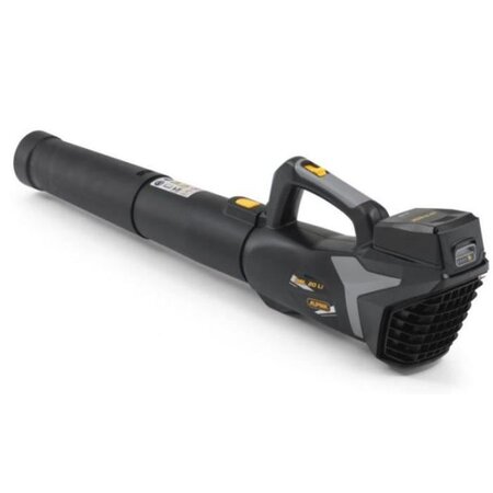 Alpina Souffleur a batterie 20V - ABL 20 Li Kit