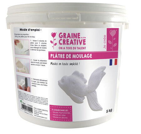 Plâtre de moulage 5 kg